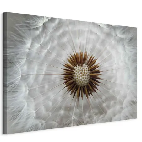 Obraz Ścienny Dmuchawiec W Przybliżeniu 120X80 Cm