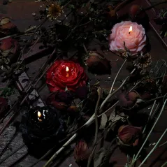 SILIKONOWA FORMA DO ŚWIEC MYDEŁ KWIAT PEONIA 3D DIY