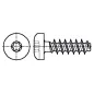Wkręt Do Tworzyw Bossard 3304806 2,5X10 Torx Plus 8Ip Ocynk 100Szt.