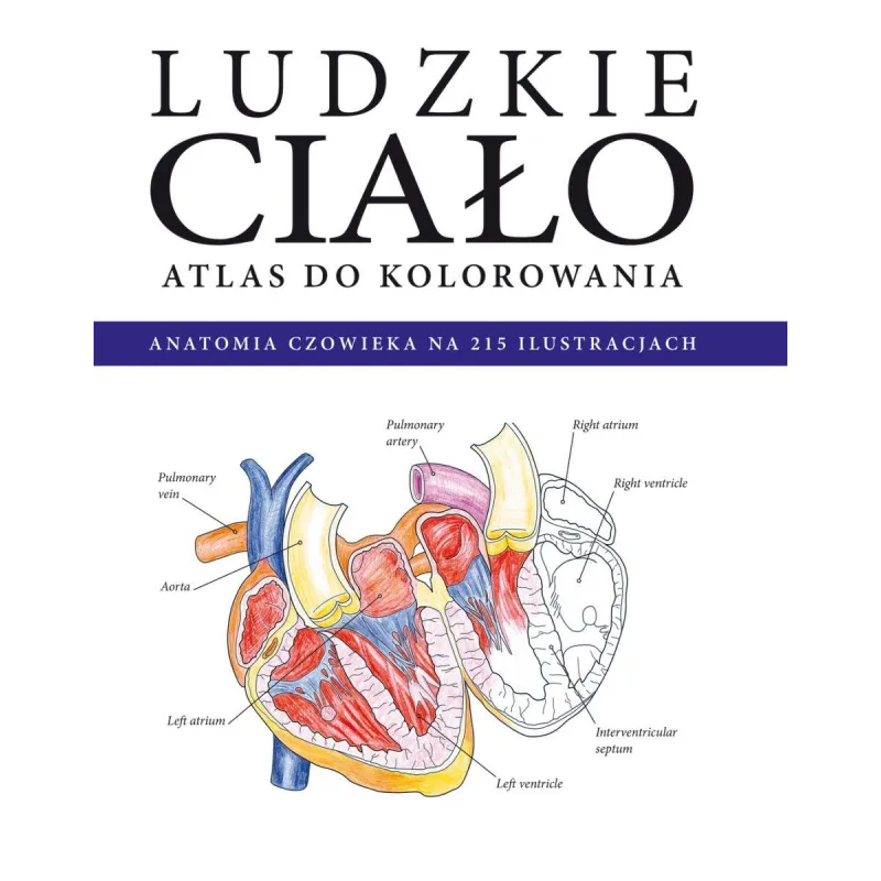 LUDZKIE CIAŁO ATLAS DO KOLOROWANIA ANATOMIA CZŁOWIEKA W 215 ILUSTRACJACH - Olesiejuk LUDZKIE CIAŁO ATLAS DO KOLOROWANIA ANATOMIA CZŁOWIEKA W 215 ILUSTRACJACH - Olesiejuk