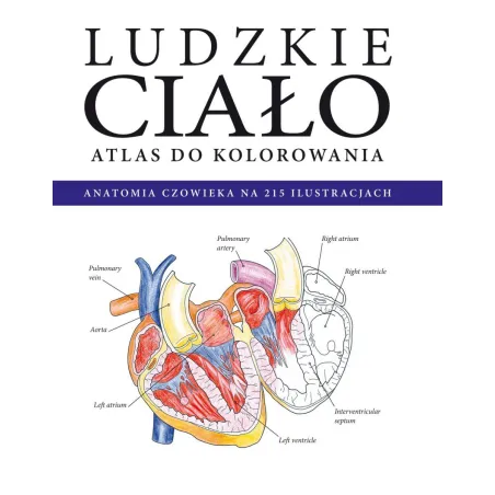 Ludzkie Ciało. Atlas Do Kolorowania. Anatomia Człowieka W 215 Ilustracjach Ludzkie Ciało. Atlas Do Kolorowania. Anatomia Człowieka W 215 Ilustracjach