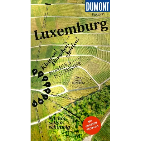 LUXEMBURG. PRZEWODNIK ILUSTROWANY