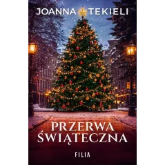 PRZERWA ŚWIĄTECZNA