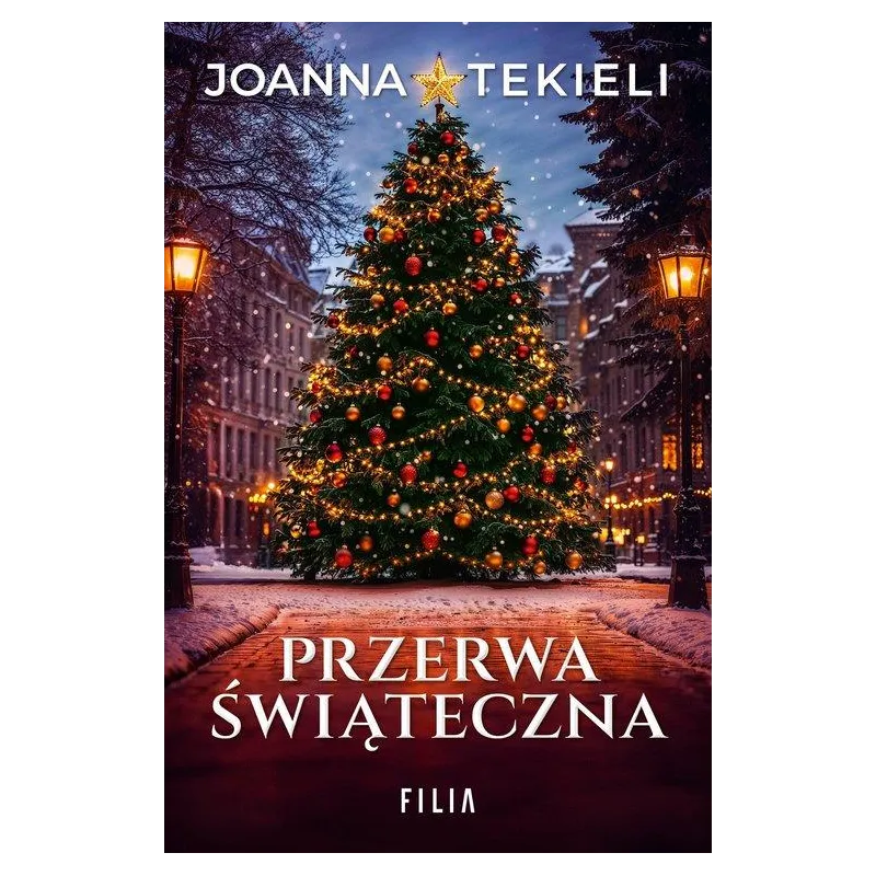 PRZERWA ŚWIĄTECZNA