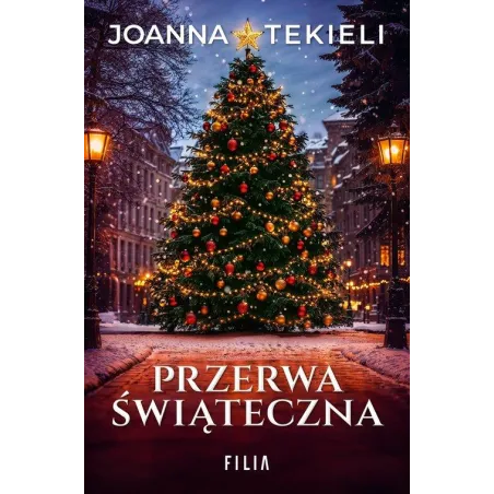 Przerwa Świąteczna