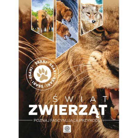 Świat Zwierząt Ssaki Poznaj Fascynującą Przyrodę