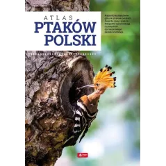 ATLAS PTAKÓW POLSKI.Łukasz Przybyłowicz Anna Przybyłowicz