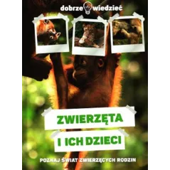 ZWIERZĘTA I ICH DZIECI DOBRZE WIEDZIEĆ - Dragon