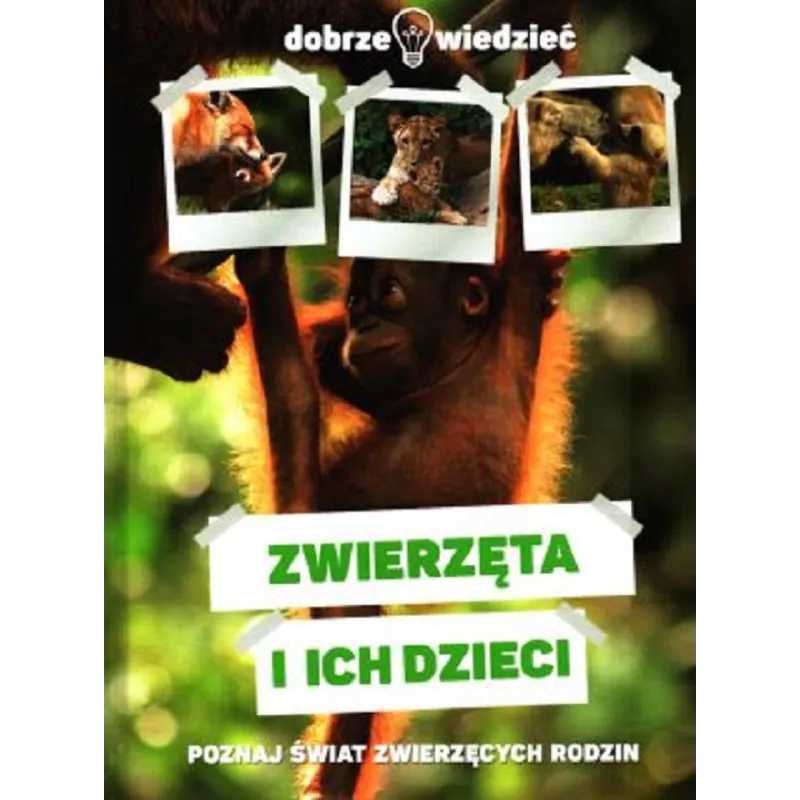 ZWIERZĘTA I ICH DZIECI DOBRZE WIEDZIEĆ - Dragon