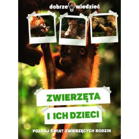 ZWIERZĘTA I ICH DZIECI DOBRZE WIEDZIEĆ - Dragon