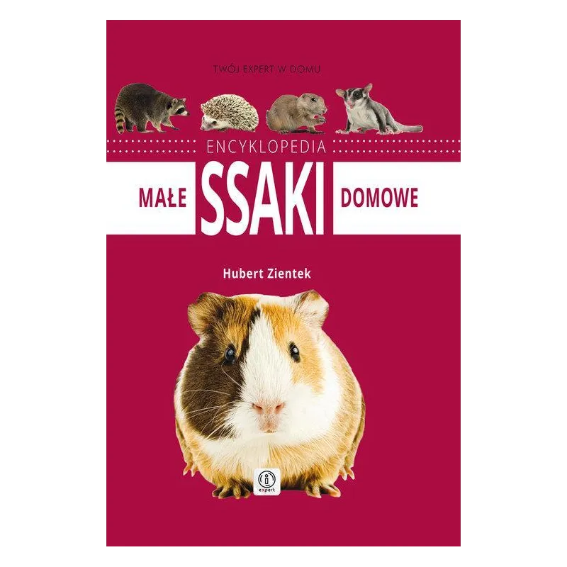 ENCYKLOPEDIA MAŁE SSAKI DOMOWE - Dragon