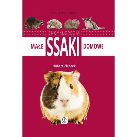 ENCYKLOPEDIA MAŁE SSAKI DOMOWE - Dragon