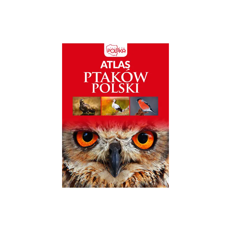 ATLAS PTAKÓW POLSKI Przybyłowicz Anna - Dragon