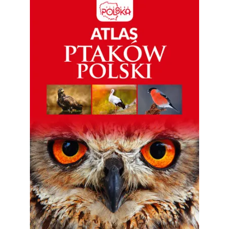 Atlas Ptaków Polski Przybyłowicz Anna