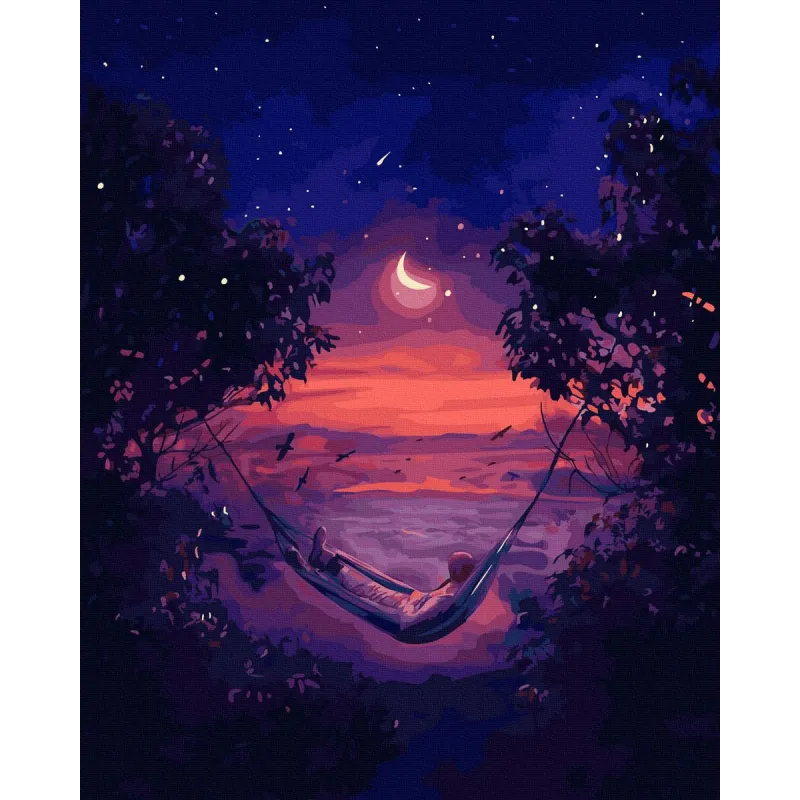 MALOWANIE PO NUMERACH PRZYSZŁOŚĆ 40X50 CM ZESTAW DO MALOWANIA TWOJE HOBBY