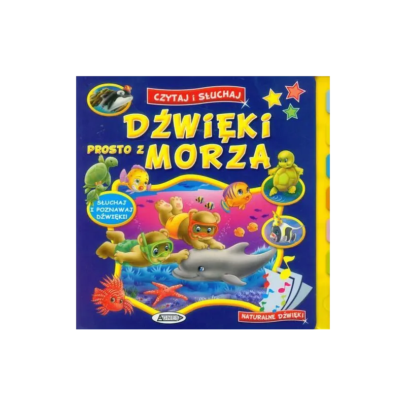DŹWIĘKI PROSTO Z MORZA - Agnesa