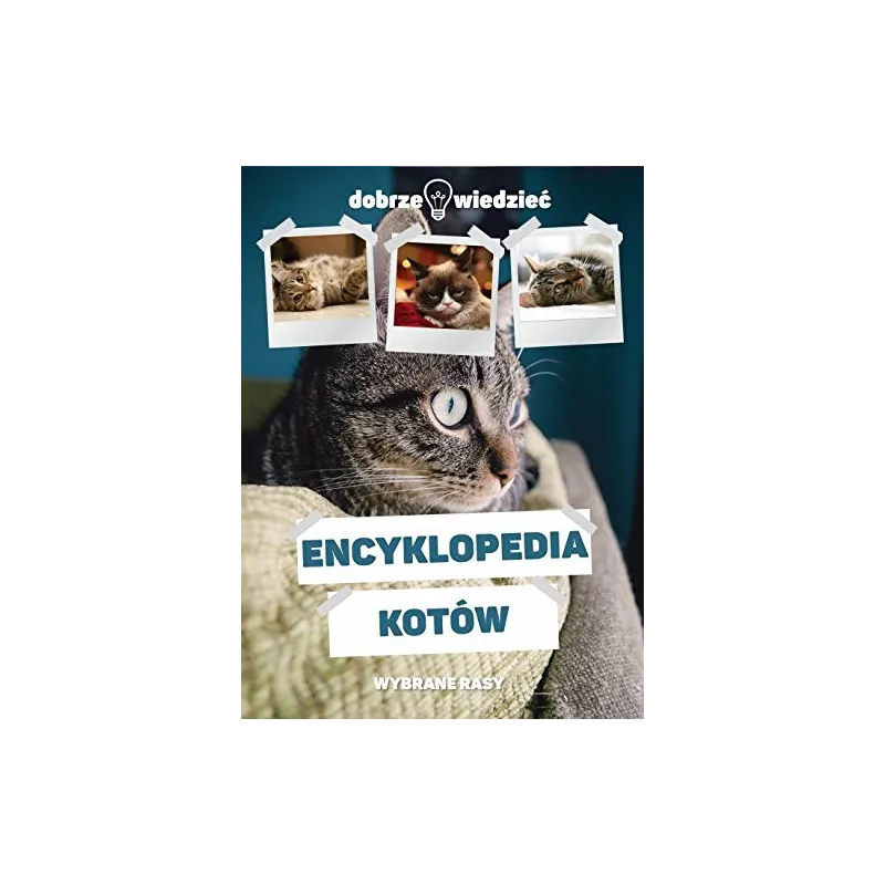 ENCYKLOPEDIA KOTÓW