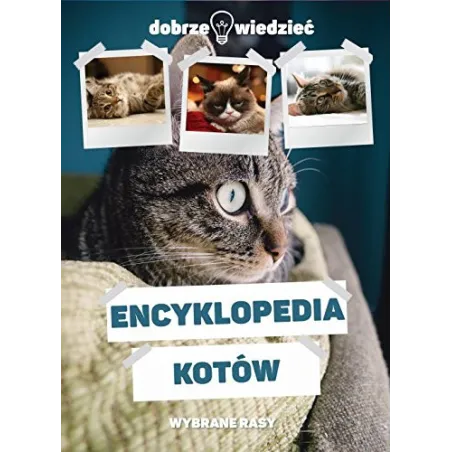 ENCYKLOPEDIA KOTÓW