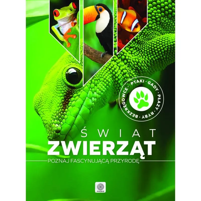 ŚWIAT ZWIERZĄT POZNAJ FASCYNUJĄCĄ PRZYRODĘ - Dragon