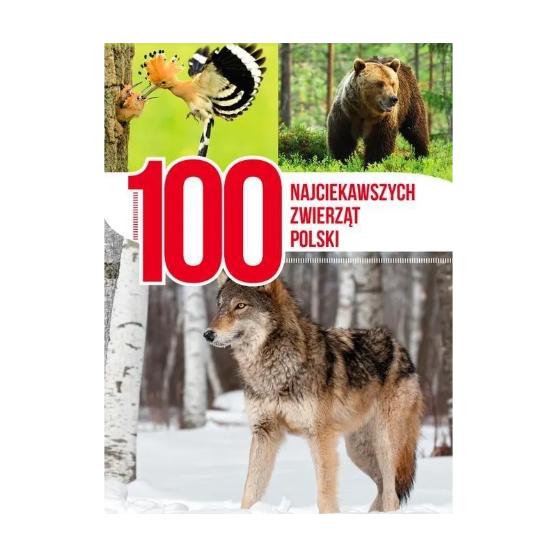 100 NAJCIEKAWSZYCH ZWIERZĄT POLSKI - Dragon