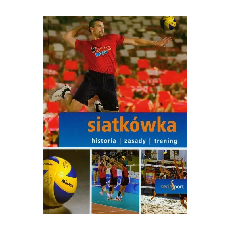 SIATKÓWKA HISTORIA ZASADY TRENING Filip Wróblewski - Dragon