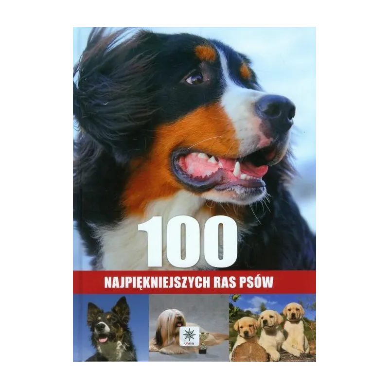 100 NAJPIĘKNIEJSZYCH RAS PSÓW Agnieszka Nojszewska - Dragon