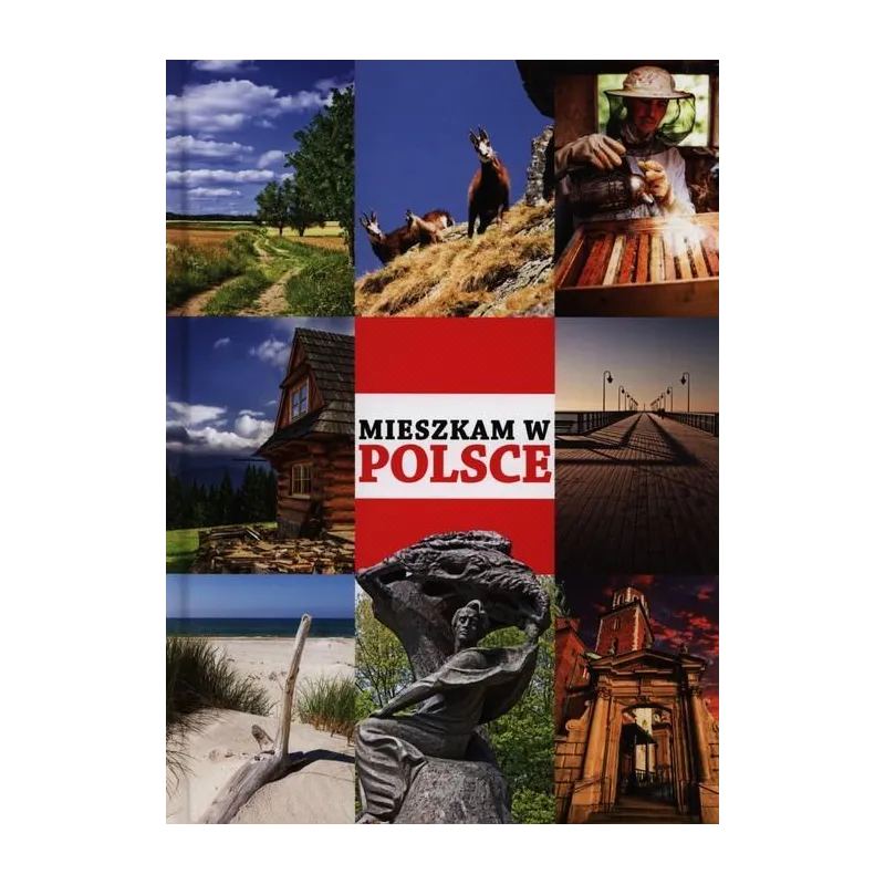 MIESZKAM W POLSCE - Damidos