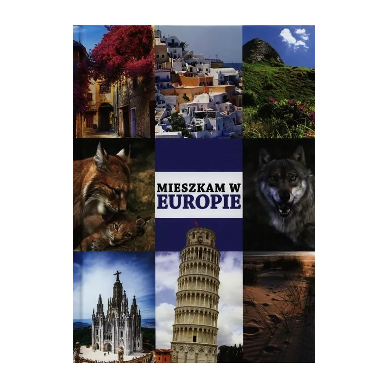 MIESZKAM W EUROPIE - Damidos