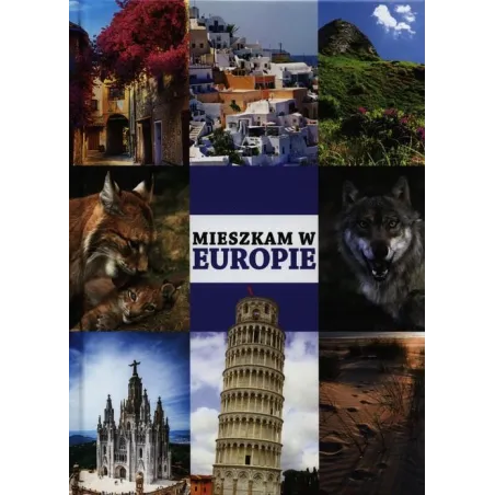 MIESZKAM W EUROPIE - Damidos