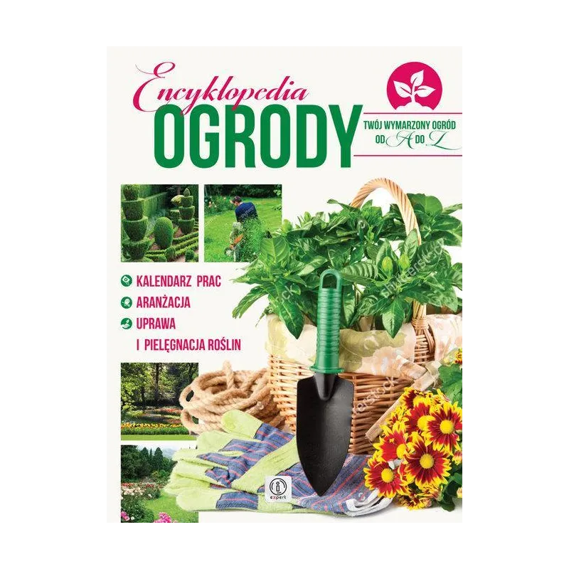 ENCYKLOPEDIA OGRODY - Dragon