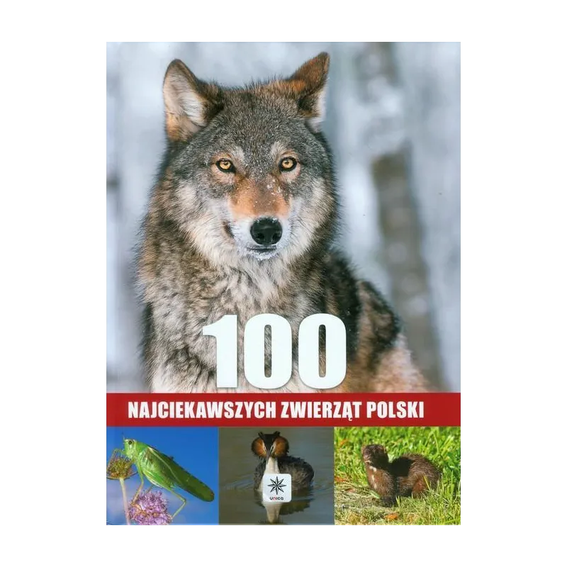 100 NAJCIEKAWSZYCH ZWIERZĄT POLSKI Łukasz Przybyłowicz, Anna Przybyłowicz