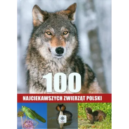 100 NAJCIEKAWSZYCH ZWIERZĄT POLSKI Łukasz Przybyłowicz, Anna Przybyłowicz