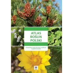 ATLAS ROŚLIN POLSKI - Dragon