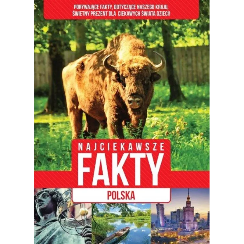 NAJCIEKAWSZE FAKTY POLSKA - Dragon