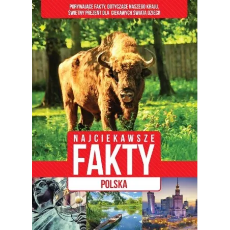 NAJCIEKAWSZE FAKTY POLSKA - Dragon