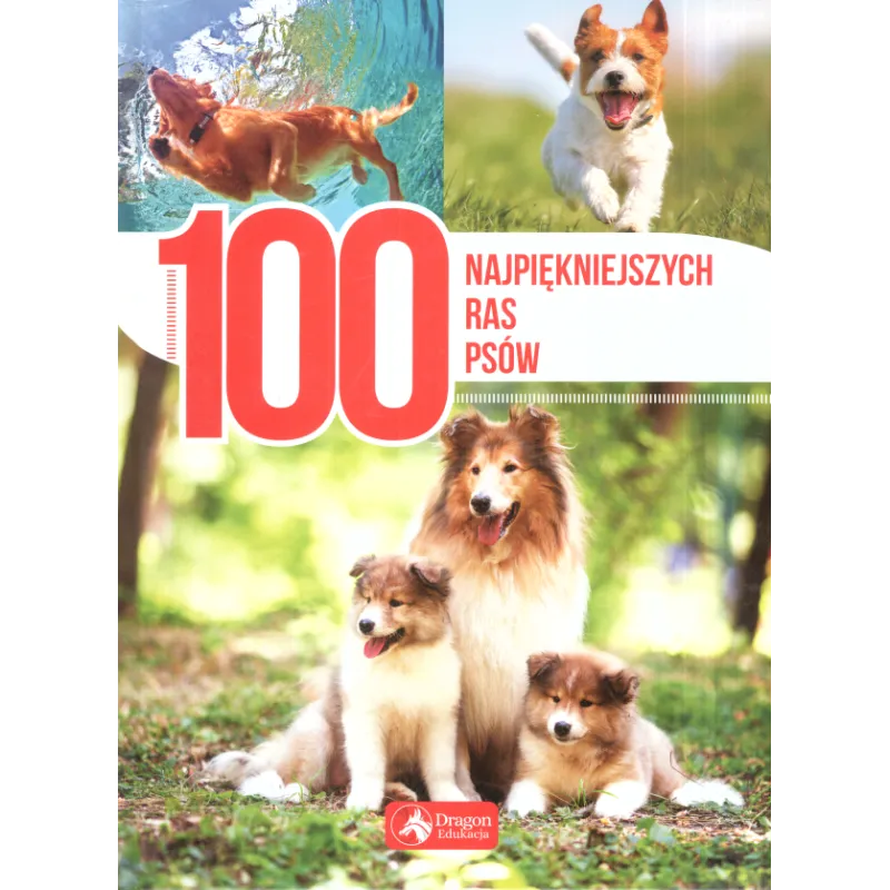 100 NAJPIĘKNIEJSZYCH RAS PSÓW - Dragon