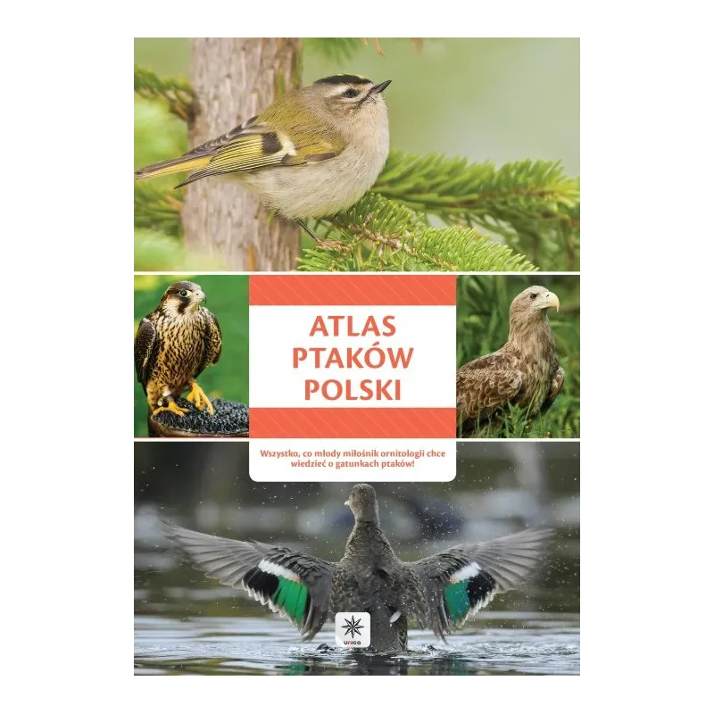 ATLAS PTAKÓW POLSKI - Dragon