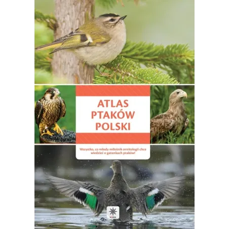 ATLAS PTAKÓW POLSKI - Dragon