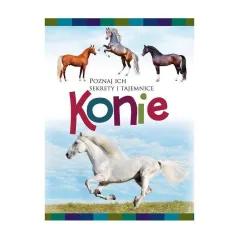 POZNAJ ICH SEKRETY I TAJEMNICE. KONIE - Damidos