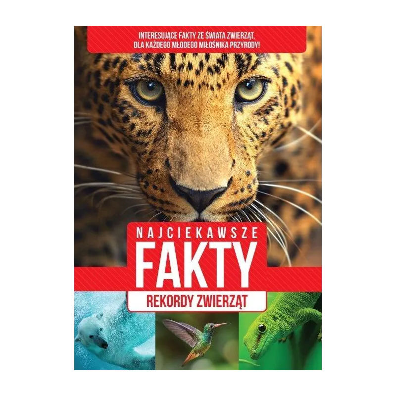 NAJCIEKAWSZE FAKTY REKORDY ZWIERZĄT - Dragon