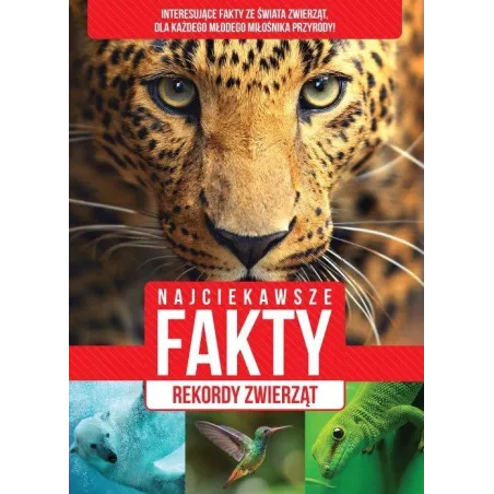 Najciekawsze Fakty Rekordy Zwierząt