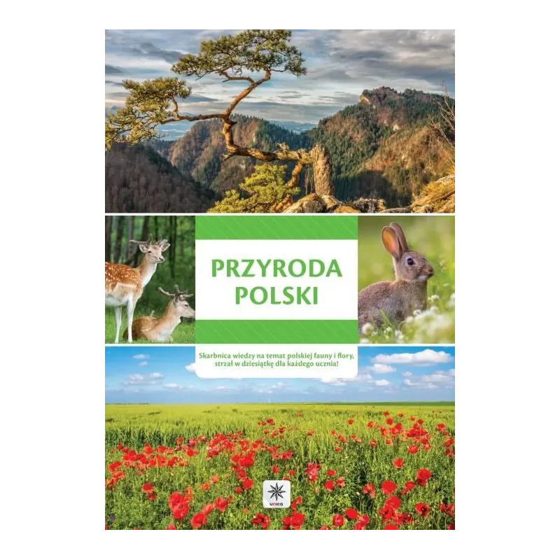 PRZYRODA POLSKI - Dragon