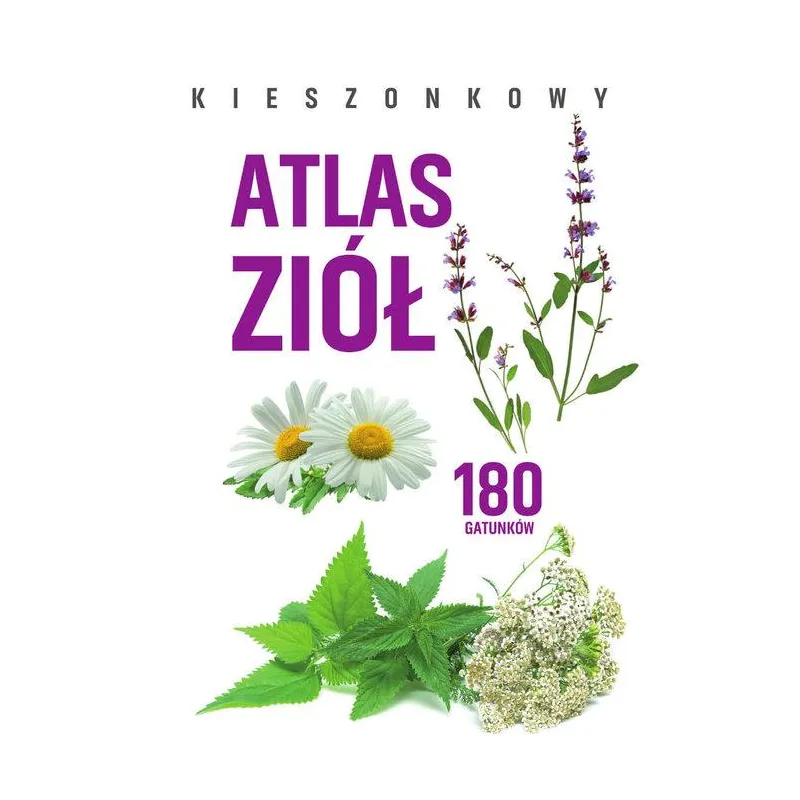 KIESZONKOWY ATLAS ZIÓŁ. 180 GATUNKÓW