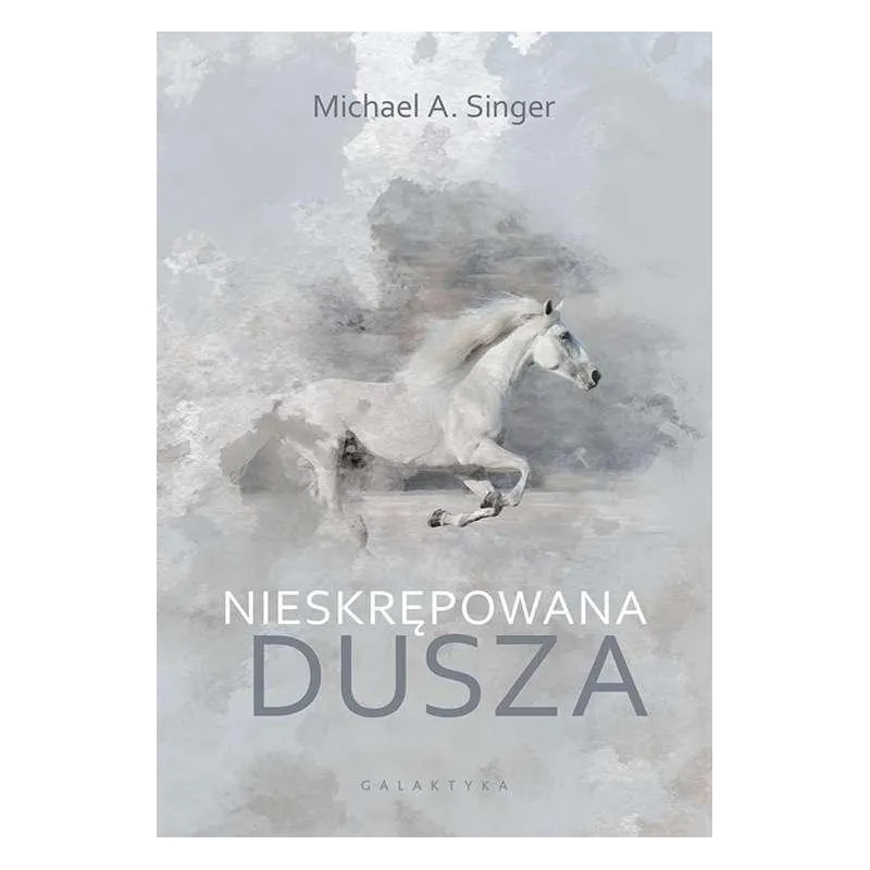 NIESKRĘPOWANA DUSZA Michael A. Singer - Galaktyka