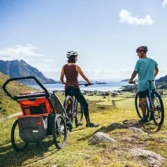 THULE CHARIOT CROSS 1 PRZYCZEPKA ROWEROWA WÓZEK BIEGOWY 4W1