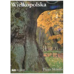 WIELKOPOLSKA Piotr Skórnicki - Bosz