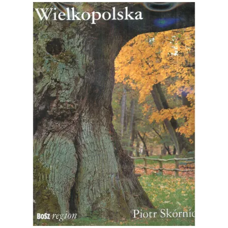 WIELKOPOLSKA Piotr Skórnicki - Bosz
