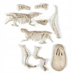 SKAMIENIAŁOŚCI DINOZAUR T-REX ZESTAW KREATYWNY 7+ - Clementoni