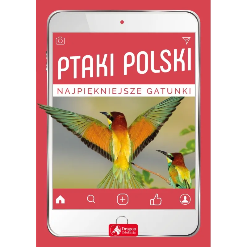 PTAKI POLSKI NAJPIĘKNIEJSZE GATUNKI Łukasz Przybyłowicz, Anna Przybyłowicz - Dragon
