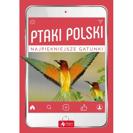 Ptaki Polski Najpiękniejsze Gatunki Łukasz Przybyłowicz, Anna Przybyłowicz